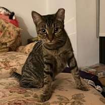 Thumbnail photo of GIGI&BUSTER-True Love Story #1