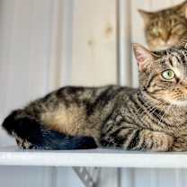 Thumbnail photo of Alex #3