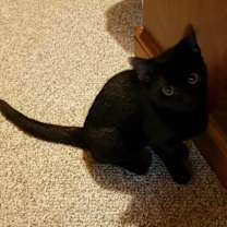 Thumbnail photo of Lucinda #3