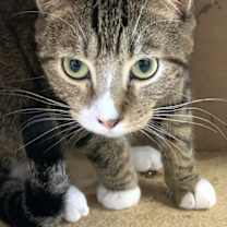 Thumbnail photo of Boy #3