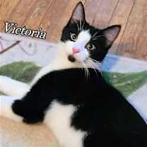 Thumbnail photo of Victoria #2