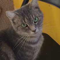 Thumbnail photo of KIWI! #1