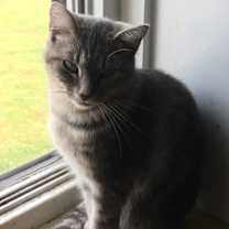 Thumbnail photo of KIWI! #4