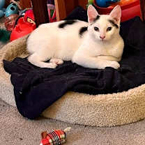 Thumbnail photo of Fiona #3