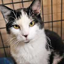 Thumbnail photo of Doodle #1