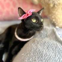 Thumbnail photo of Tessa #4