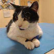 Thumbnail photo of Perry #1