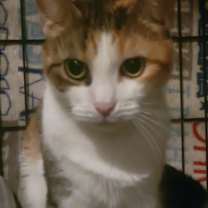 Thumbnail photo of Snow #1