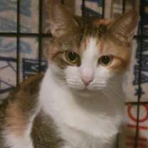 Thumbnail photo of Snow #2