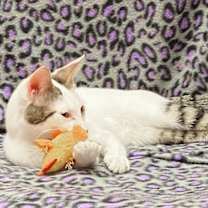 Thumbnail photo of Zara #2