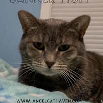 Thumbnail photo of Banner Mom (Freda) #1