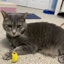 Thumbnail photo of Banner Mom (Freda) #2