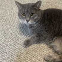 Thumbnail photo of Banner Mom (Freda) #3