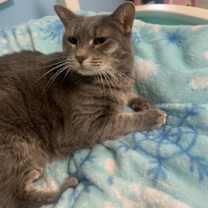 Thumbnail photo of Banner Mom (Freda) #4