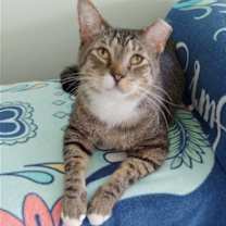 Thumbnail photo of Buddy #2