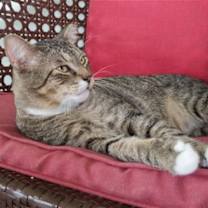 Thumbnail photo of Buddy #3