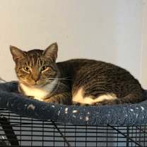 Thumbnail photo of Clyde #1