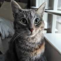 Thumbnail photo of Layla #3