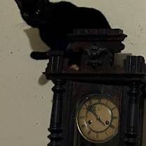 Thumbnail photo of Seiko #2