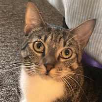 Thumbnail photo of CROIXX #3