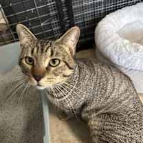 Thumbnail photo of Martin #2