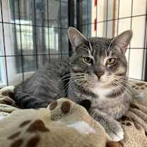 Thumbnail photo of Martin #4