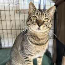 Thumbnail photo of Bud #2