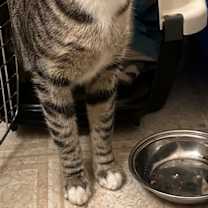 Thumbnail photo of OLIVIA #1
