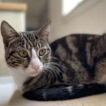 Thumbnail photo of Olivia #1