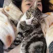 Thumbnail photo of Olivia #3