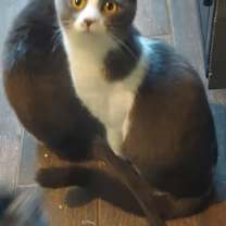 Thumbnail photo of Kit #2