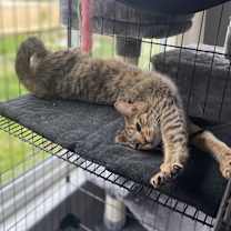 Thumbnail photo of LEO #4