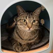 Thumbnail photo of Maxi #3