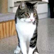 Thumbnail photo of Fisher #2