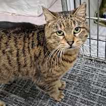 Thumbnail photo of Trevor #4