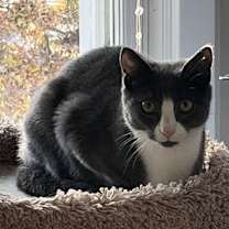 Thumbnail photo of Ravioli #1