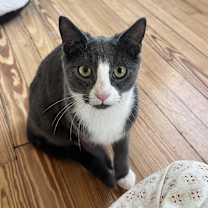Thumbnail photo of Ravioli #2