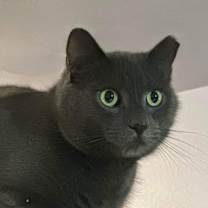 Thumbnail photo of KATE #2