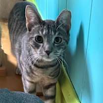 Thumbnail photo of Frances #1