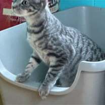 Thumbnail photo of Frances #3