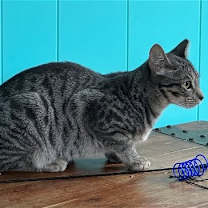 Thumbnail photo of Frances #4