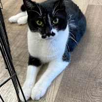 Thumbnail photo of CARLY #1