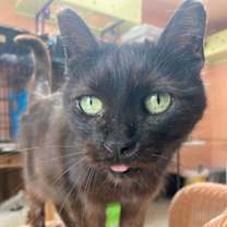 Thumbnail photo of Precious #3