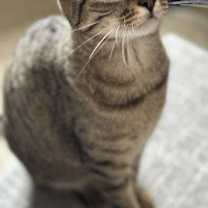 Thumbnail photo of Carlie #2