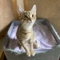 Thumbnail photo of Carlie #3