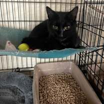 Thumbnail photo of Tully #1