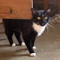 Thumbnail photo of Jeff #1