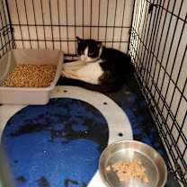 Thumbnail photo of Pop Tart #1