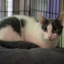 Thumbnail photo of Blanca #1