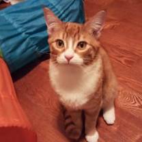 Thumbnail photo of Tuffnut (& Family) #2